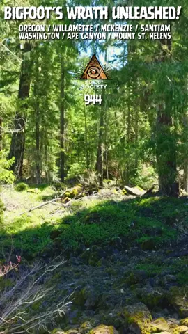 👣 New Episode! An Oregon camper’s quiet night in the Willamette National Forest turns into a chilling encounter — whistles, falling trees, and something watching in the dark. 🎧 Hear Eric’s story on Bigfoot Society → https://pod.link/1453429066 #Bigfoot #Sasquatch #Oregon #publishtoall