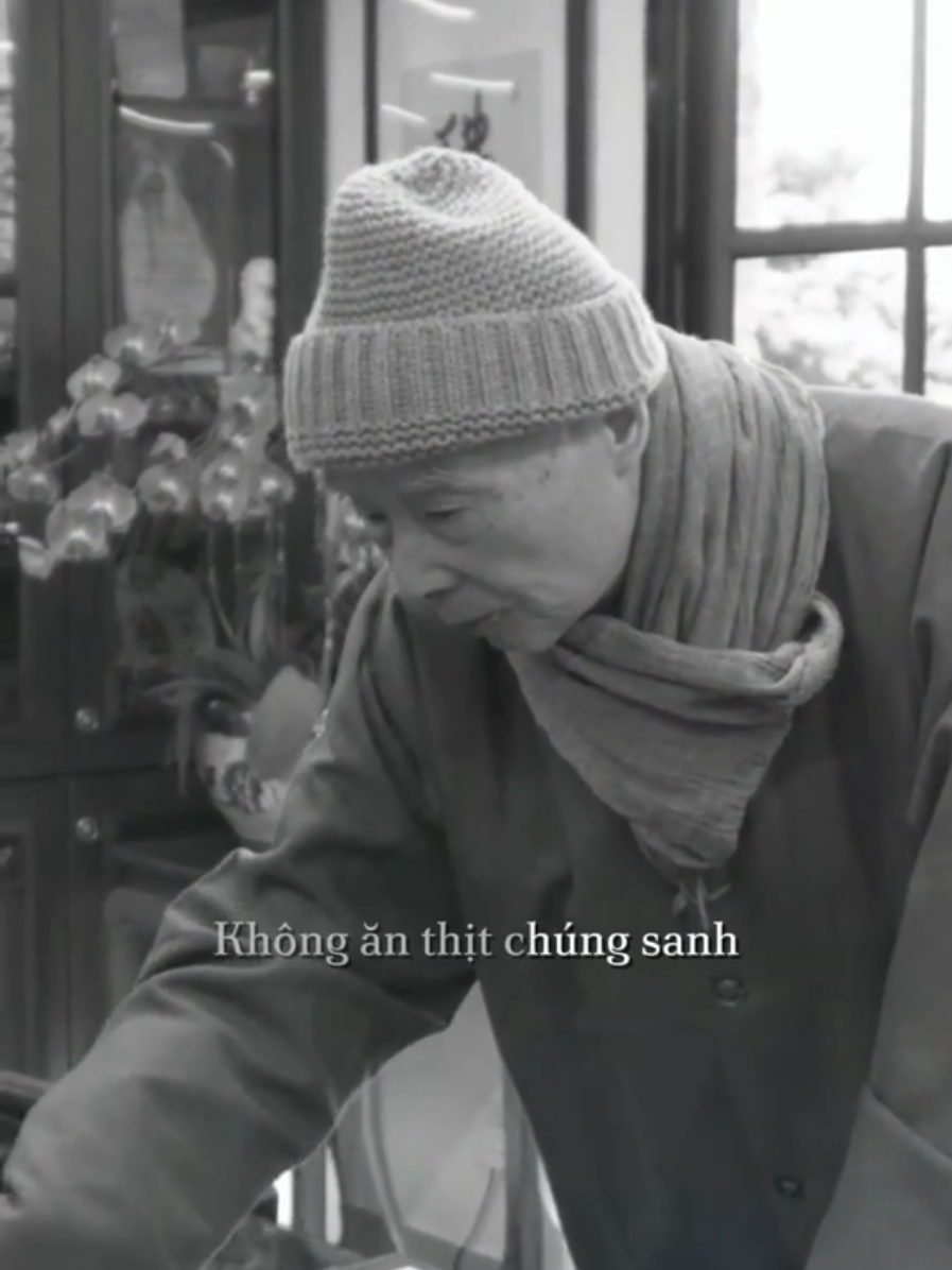 Đệ tử nhà Phật, bất luận bạn ở cõi nào, vĩnh viễn phải nhớ KHÔNG ĐƯỢC LÀM HẠI CHÚNG SANH. ĐÂY MỚI LÀ TỪ BI. Chúng ta có quyền gì giết hại hết thảy chúng sanh. Niệm một tiếng A DI ĐÀ PHẬT 🙏 MÀ TRONG LÒNG ĐAU LÒNG BIẾT BAO   {Pháp Sư Tịnh Không khai thị 🙏}  #viral #hoathuongtinhkhong 