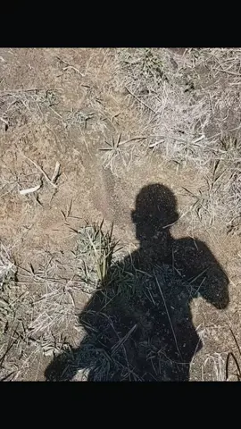 #petanimuda #sawitontiktok #fyp 