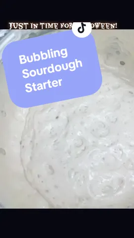Active bubbling sourdough starter - Double Double Toil and Trouble, Fire Burn and Cauldrom Bubble 🖤 #sourdoughstarterfeeding #sourdough #potion #sourdoughtok #activestarter 