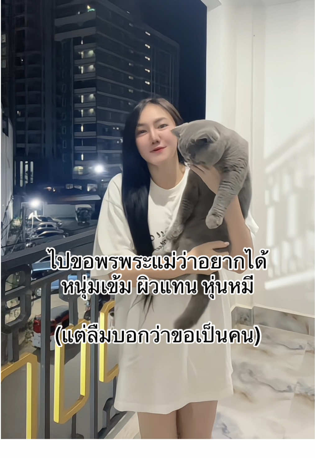 #ก๋วยเจ๋งเป็นแมว #แมวน่ารัก #แมวอ้วน 