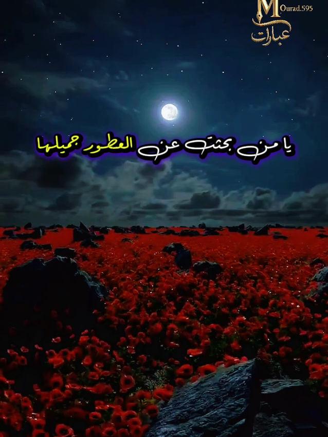 عبارات #creatorsearchinsights #اقتباسات #عبارات #كلمات #خواطر @عبارات 