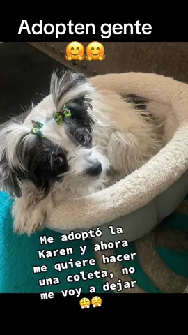 #recuerdos #🤷‍♀️🤷‍♀️🤷‍♀️🤷‍♀️😜😜😜😜😁😁😁🤷‍♀️🤷‍♀️🤷‍♀️🤷‍♀️ #🤪🤪🤪🤪🤪 #risas😂😂😂 