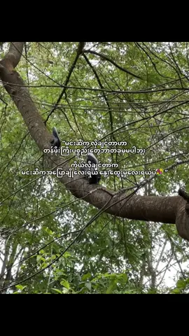 #thankb4youdo #fyppppppppppp #trending #fypviralシ #K 