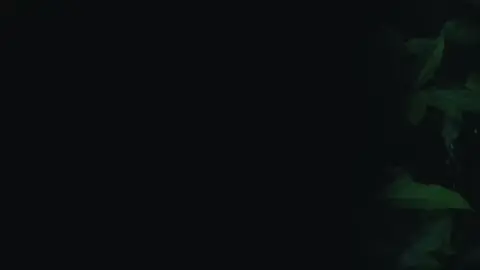 #astrophile #ချစ်ပါနော်မောင့်ကို