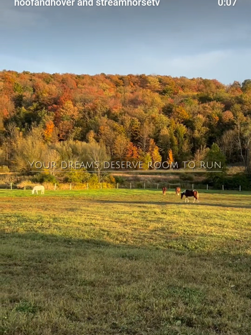 Finding the right home is about more than walls and windows…it’s about space for your dreams to grow. Let me help you find yours. 🔗 in bio for more info . 🥰🎥 @hoofandhover  . . . #EquestrianLiving #DreamHome #HorseProperty #RoomToRun #HoofAndHoverHomes 