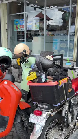 view kintamani gk prnah gagal😍 #kintamani #kintamanibali #cb125se #cbindonesia #touring #fyp #masukberanda 