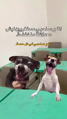 #رياكشنات #مدارس #الشعب_الصيني_ماله_حل😂😂 #foryou #منشن_لصاحبك 