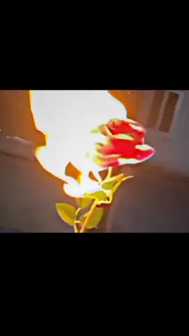 𝐥𝐚𝐬𝐭 𝐒𝐭𝐚𝐠𝐞 𝐎𝐟𝐟 𝐋𝐨𝐯𝐞🫵😫#foruyou #standkashmir #forupage @TiktokPakistanOfficial 