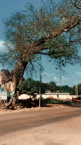 14h30 à Bouake ✨ #bouake225 #viraltiktok #bouake225🇨🇮 #villepropre 
