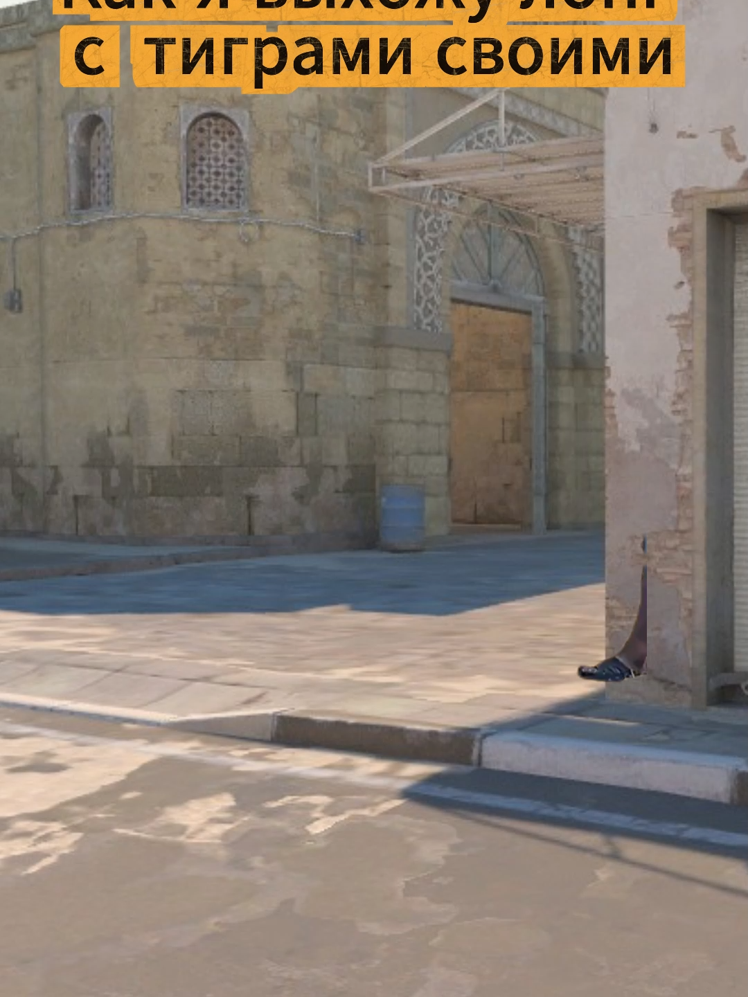 Как я выхожу лонг с тиграми своими #csgo#by_rodya#рек#мемас#cs2 #counterstrike#gaming#cs2moments#gamertiktok