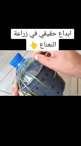 #تجارب_بنات #تجارب_الحياة #اكسبلور_تيك_توك #نصائح_مفيدة #زراعة_النباتات 