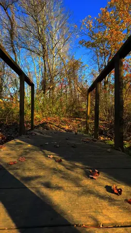 #November #Foliage #Connecticut #Bridges 