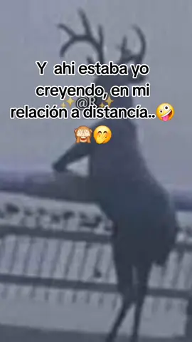 #y #ahi #estaba #yo #creyendo 