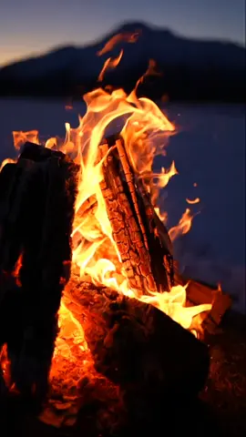 الشعر الشعبي الليبي #الشعر_الشعبي 