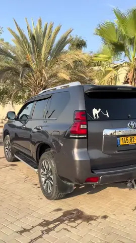 #كسيفه_حورره_عرعره_الشقيب_رهط♥️👋 #عرب48 #المطيرات_ولينا_فى_قمه_المجد_رايات 