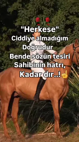 Herkese ciddiye almadığım doğrudur Bende sözün tesiri Sahibinin hatrı Kadardır..!!☝️☝️✍️✍️🥀🥀🥀#keşfetttt #tiktok#keşfetttt #fyppppppppppppppppppppppp 