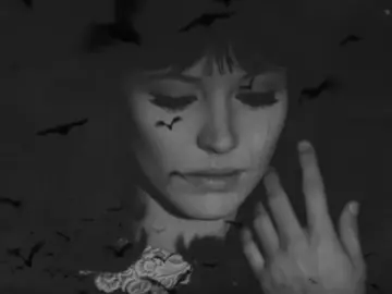 يازمن شيبت راسي 😃!.                                       #تصاميم_فيديوهات🎵🎤🎬 #تصميم #ام_وهج #اكسبلور #اكسبلور 