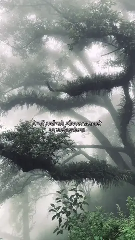 #के गर्ने कहाँ जाने  जीवनको प्रश्नहरूले मन अल्झिरहेछन् । #fpyシ 