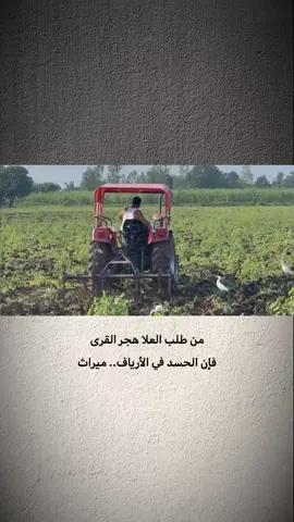 هجر القرئ..😐 . . . . . . . . . . . . . . . . . . . . #خاطر_محب🥀💔 #سميرصبيح #جبار_رشيد #رضا_العبادي #اياد_عبدالله_الاسدي 