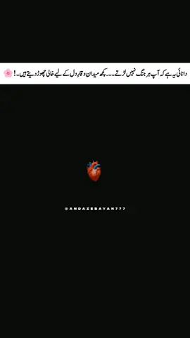 سکون تب ملتا ہے، جب آپ کسی کو منانے کے بجائے خود کو سمجھانا سیکھ لیتے ہیں۔ #foryoupage #unfrezzmyaccount #creatorsearchinsights 