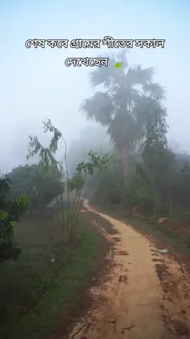 শীতের সকালের সৃতি গুলো আসলেই খুব মধুর হয়। শীতকাল মানে কুয়াশা জড়ানো মিষ্টি রোদ, শীতকাল মানে দুপুরে রোদ পোহানোর সাথে সবাই মিলে গল্প করা। শীতকাল মানে ব্যাডমিন্টন খেলা আর স্কুল টাইমে কোমরে সোয়েটার বেঁধে স্টাইল করা।শীতকাল মানে বসন্তে ফুলের সমাহার ও সাথে অতিথি পাখিদের আগমন। শীতকাল যেনো আমাদের জীবনের মুহূর্তে গুলোকে আরো রঙ্গিন করে তোলে। শীতকাল এমন একটি সময় যে সময় মানুষ নিজেকে প্রকৃতির সাথে গভীরভাবে পরিচিত হওয়ার সময়।এই শীতকাল মানে হলো একটি বছর শেষে আরেকটি নতুন বছরের আগমন। শীতকাল মানে পিঠে পায়েশ শীতকাল মানে ঘুরতে যাওয়া আর অবসর সময় মিললেই পিকনিক করা।। ☺️  । । #শৈশবের_স্মৃতি😭 #শেষ_পর্যন্ত_দেখুন_ভিডিওটা #bangladesh🇧🇩 #bdtiktokofficial🇧🇩 #creatorsearchinsights @TikTok Bangladesh 