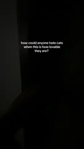forever a cat lover #catsoftiktok #foryou #fypシ゚ 