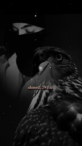 طايحين خشان على المتفرج ماشي المخرج#ahmed_29_dz_ #شرات_و_معاني_تخليك_تعاني #explore #fyp #capcut_edit @صَوْتُ ٱلْخَوَاطِرْ🎙️🎧 