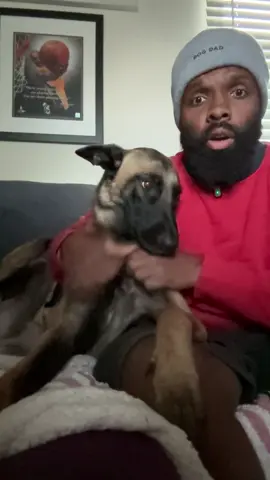 Next steps. Help us take this show on the road. Gigi has so many followers across so many platforms. We have a big goal for this fundraiser to end 2025 the right way and start 2026 in a big way. I have huge plans. Working really hard behind the scenes. Extremely hard. But I can only do so much. We’d love your support. All of the donations are used to pour back into the community. For traveling and setting up new events. Bringing people together and supporting local shelters, rescues and more. We have PayPal: ggpitbull002@gmail.com and Venmo: sweetiegigi. All on our Linktree. The Venmo is Sweetiegigi. We truly appreciate all the love and support. If you’d like to find out other ways to donate you can email me At aaronmichaellouis@gmail.com. I don’t always get messages on here. Thank you. And we appreciate you.  #dontbullymybreed #changingstigmas 