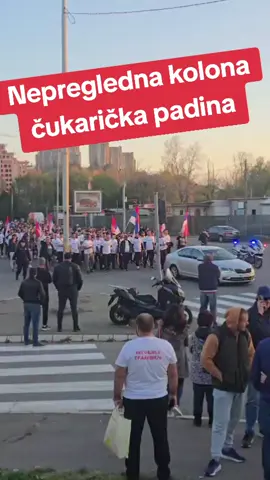#viral #for #srbija #vyp #beograd 