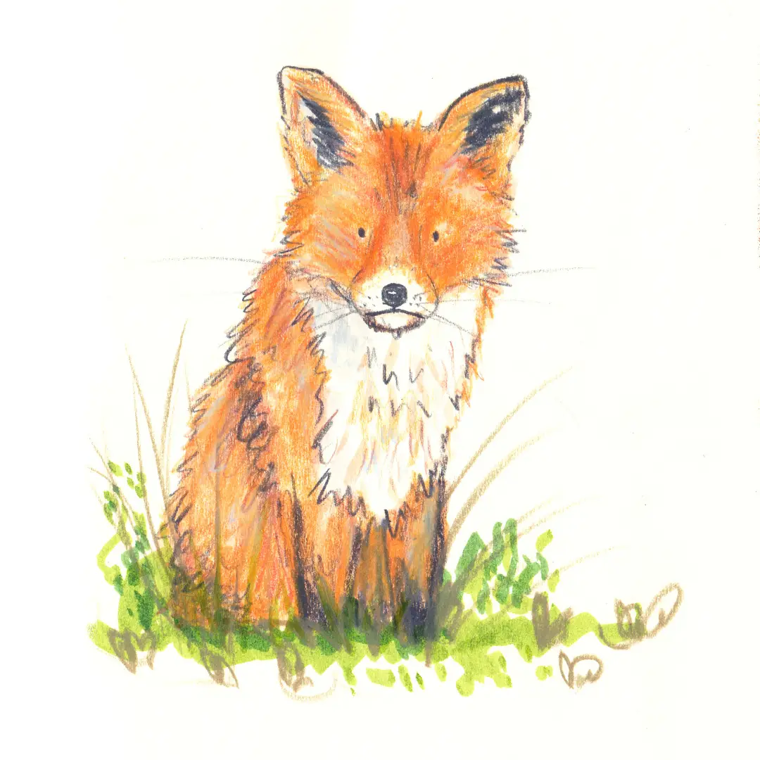 Advice from a fox: 🦊 Rely on your instincts 🦊 Have a playful spirit 🦊 Find a cozy den 🦊 Be bright-eyed and bushy-tailed 🦊 Stop, look and listen 🦊 Be light on your feet 🦊 Have good scents These drawings were made with a patreon lesson by Becca Hall 🥰🦊 🫶🏻Give me a like and follow for more on www.instagram.com/d.d.illustrations👍🏻 #ddillustrations #illustration #illustrator #childrenillustration #childrenillustrator #sketch #sketchbook #carandache #carandacheluminance #fabercastell #fabercastellpolychromos #fabercastellpittpastel #derwent #derwentlightfast #tombow #tombowdualbrushpens #ecoline #ecolinebrushpens #royaltalens #artcreation #thecreativecrew #fox #advicefromafox