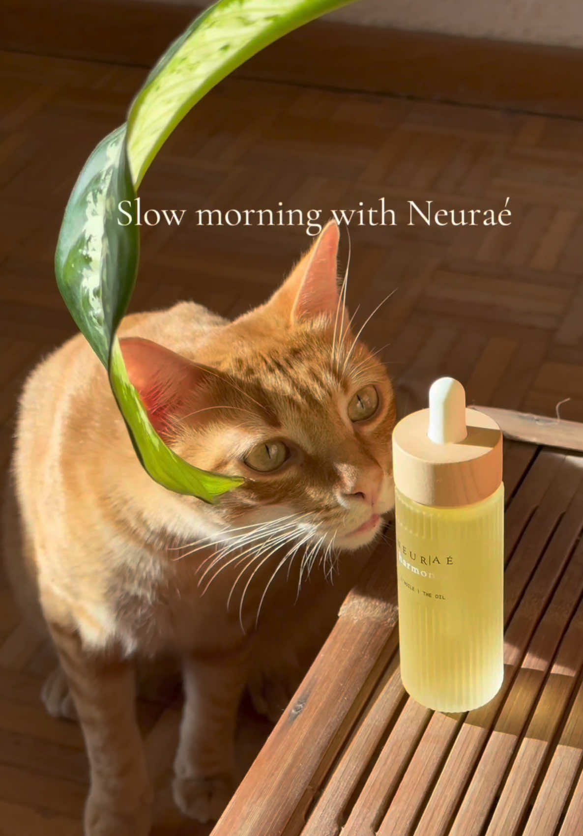 La mejor forma de empezar el día, siempre empezando por la piel.  Últimamente priorizo bastante que sean productos naturales, y con @neuraeofficiel L’Huile de la gama Harmonie se lleva el premio, no lo digo solo yo, Kimchi también 🐈🤍 #neurae *publi