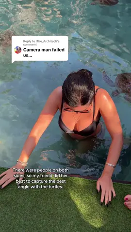 Replying to @iThe_Architecti There were people on both sides, so my friend did her best to capture the best angle with the turtles 😉