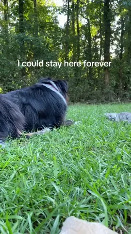 Why does the world have to be so loud though? 😕 #Lifestyle #MentalHealth #farmlife #pets 