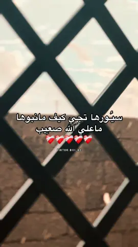 - ماعلي اللي صعيب ❤️‍🩹 . #مرتوبه_النوار_العزيات_لمخيلي_المرج❤ #libya🇱🇾 #اعادة_نشر🔁 #اكسبلورexplore #ام_الرزم_التميمي_طبرق_درنه_ليبيا 