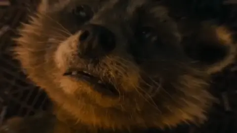 [I live for the simple things...like how much this is gonna hurt] - Rocket Racoon // idea @𝙣𝙖𝙏𝘼𝙇𝙇𝙔<{•.•}> #twentyonepilots #cliqueart #breach #marvel #nature 