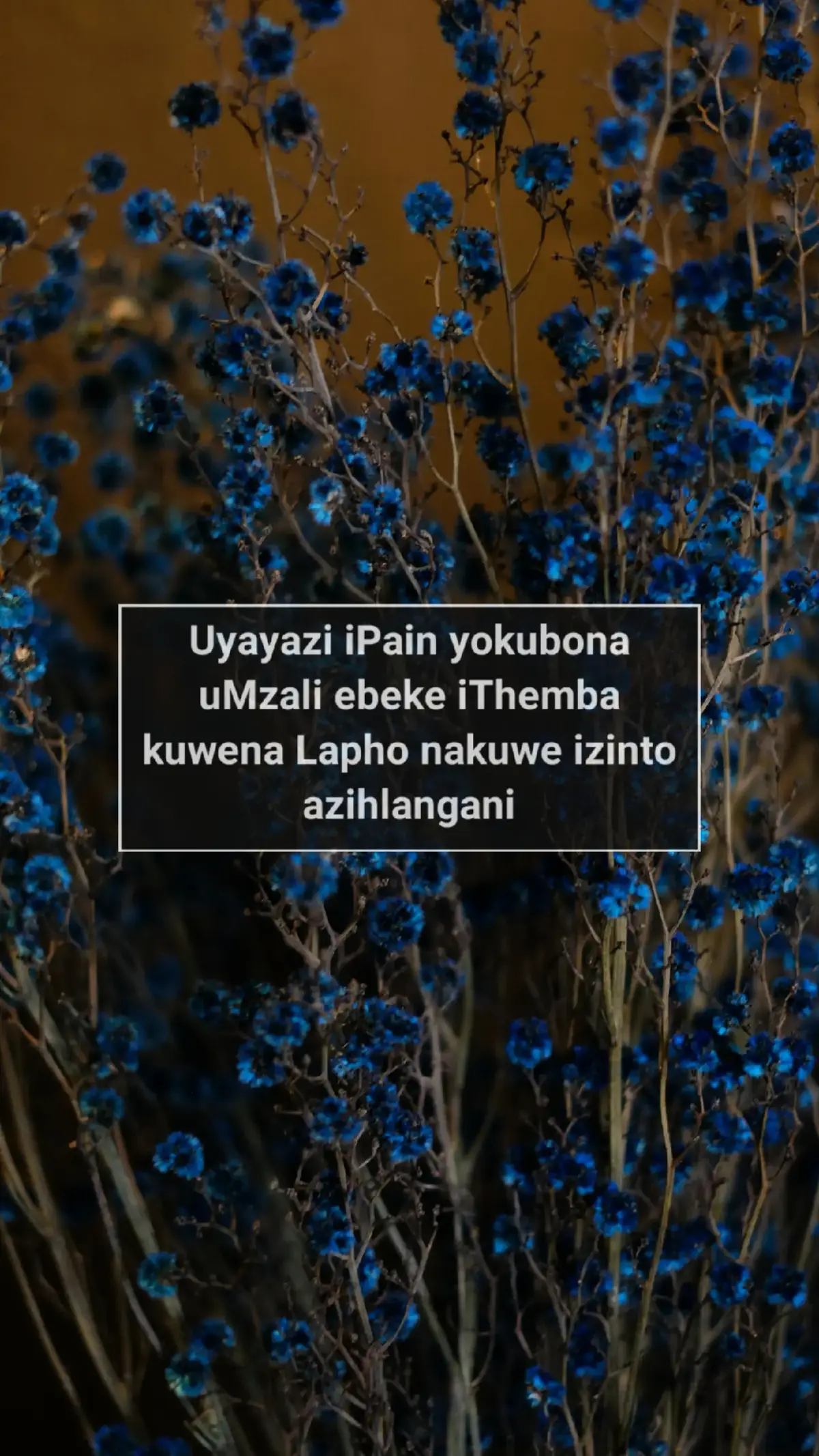 #bheleking #fyp #Foryou #foryoupage 