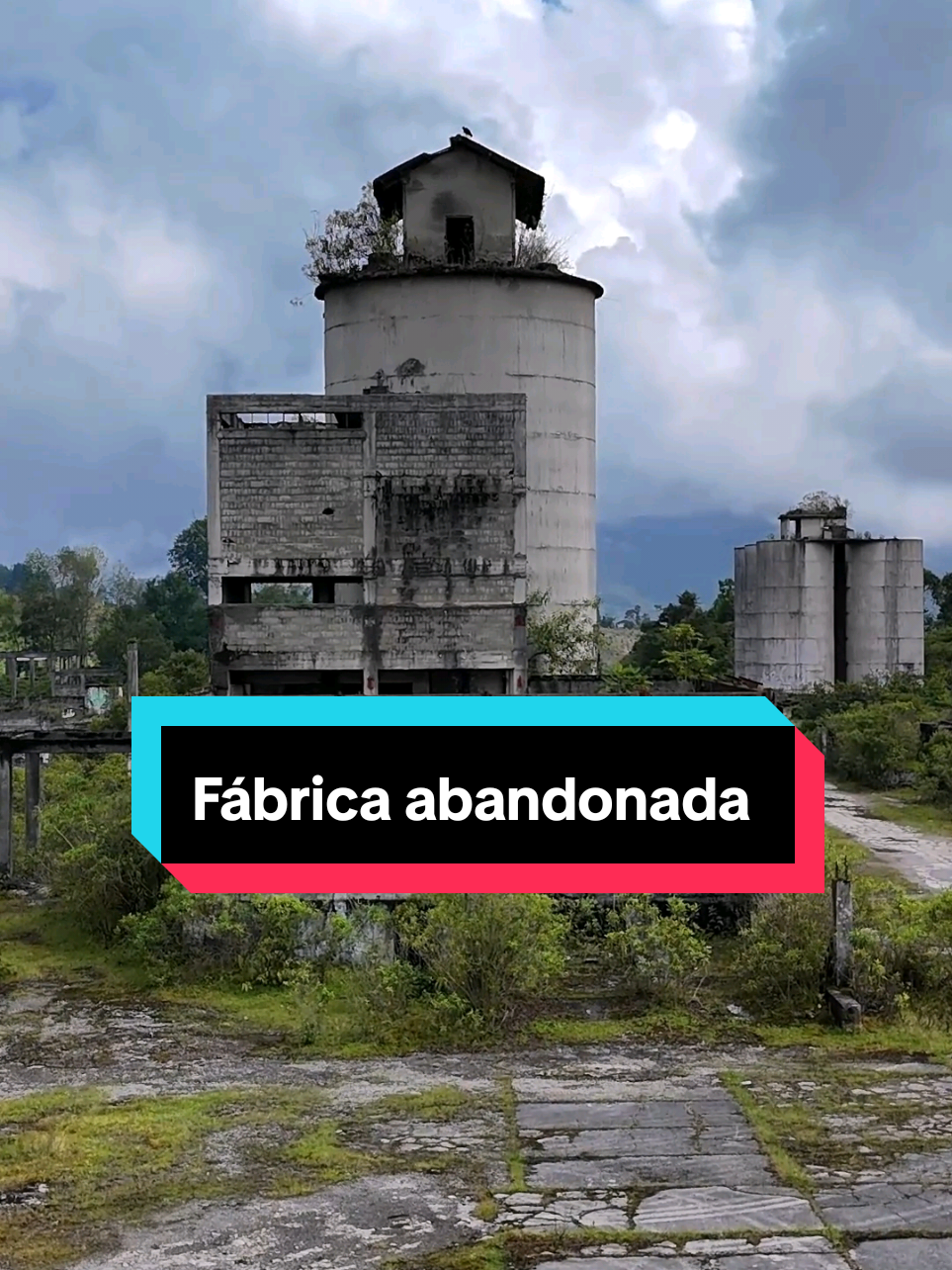 El gigante industrial en el olvido 