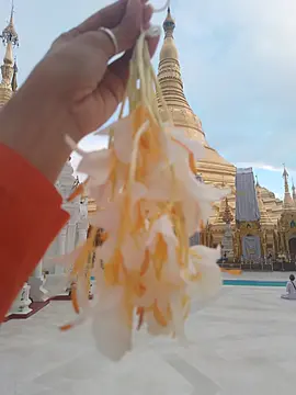 #မောင် #မောင့်အတွက်စကားလုံးများ 