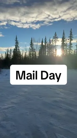 If we can’t make it to the mail plane, the van will hold all your boxes for the day until you come by and grab them! Do you think you could leave mail out like this in your town?! ✈️ 📦 #alaska #mailcarrier #mailday #dayinmylife #Vlog 