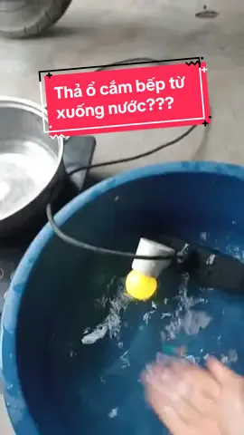 A Động (Thái Bình) thả ổ cắm bếp từ xuống nước :O khi đã đi qua thiết bị an toàn điện DENTO #chonggiatdento #chonggiat #rcbo #thietbichonggiat 