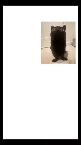 #carro #carros #fyyyyyyyyyyyyyyyy #fy #vaiprafycaramba #vaiprafy #edit #fyppppppppppppppppppppppp 