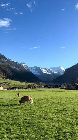 📍Frutigen, Switzerland   #swissalps #swissbeautiful #switzerland #schweiz #frutigen 