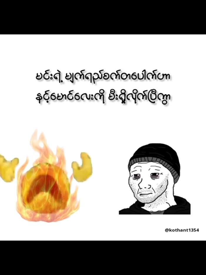 မီးငှက်နှင့် လူပျော်တယောက် #fypppppppppppppp #tiktok #memes #viral #songs 