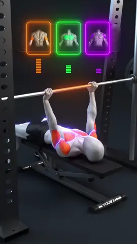 💪🔥 How Grip Width Changes Chest, Shoulder & Triceps Activation