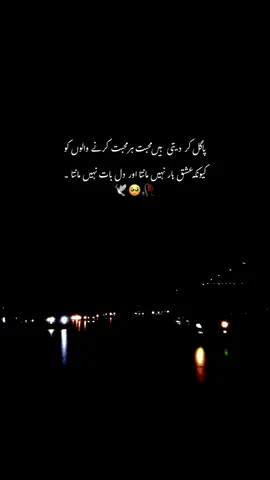 کیونکہ عشق ہار نہیں مانتا اور دل بات نہیں مانتا 💔🥺:#repost #hmxii_ #sound #poetry #trendiing 