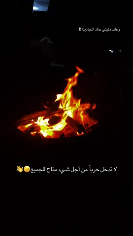 #تصويري📷 #الريس🦅 #ستوريات_متنوعه #ستوريات #الريس🦅 