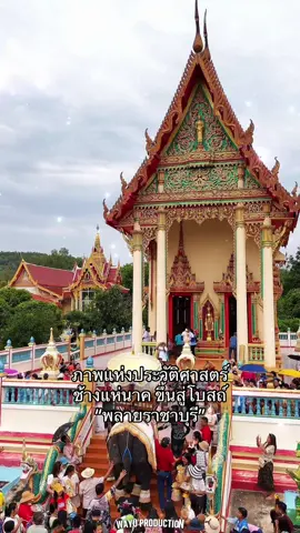 สุดยอดช้างไทย “พลายราชาบุรี” 🐘 ช้างแห่นาค “พลายราชาบุรี” เสริมพิธีสุดอลังการ 🐘 ร่วมเป็นสักขีพยานความยิ่งใหญ่แห่งขบวนช้างแห่นาค “พลายราชาบุรี” ตระการตาด้วยความสง่างามของช้างไทยคู่แผ่นดิน ผสานพิธีมงคลอันทรงคุณค่า สะท้อนวัฒนธรรมอันงดงามของชาวราชบุรี 📸 ถ่ายทอดทุกมุมอย่างมืออาชีพ โดย WAYU PRODUCTION ทีมถ่ายทำระดับมืออาชีพ พร้อมบันทึกภาพแห่งความประทับใจไว้อย่างสมบูรณ์แบบ 📞 ติดต่อจองคิว / สอบถามเพิ่มเติม: 065-426-1481