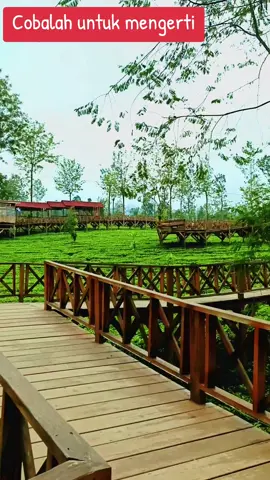 Cobalah untuk mengerti#mamarifan_26 #albumnostalgia #tembangkenangan #fypシ #foryoupage 