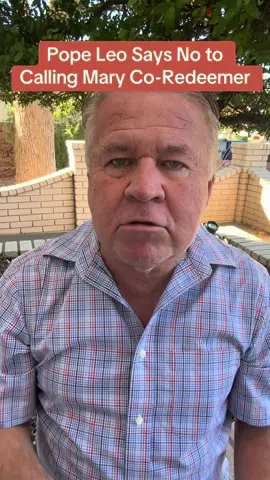 Pope Leo says no to calling Mary co-redeemer. #mary #mediator #redeemer #catholic #pope 